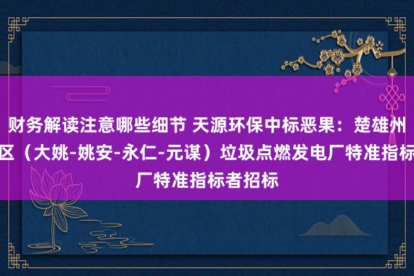 财务解读注意哪些细节 天源环保中标恶果：楚雄州楚北片区（大姚