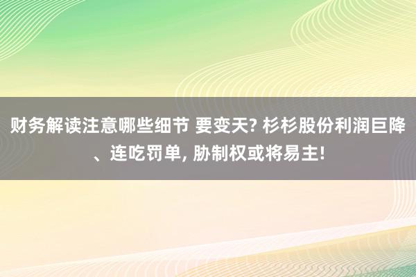 财务解读注意哪些细节 要变天? 杉杉股份利润巨降、连吃罚单,