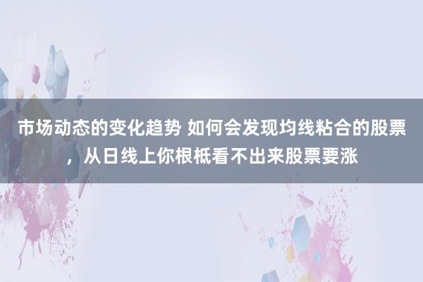 市场动态的变化趋势 如何会发现均线粘合的股票，从日线上你根柢看不出来股票要涨