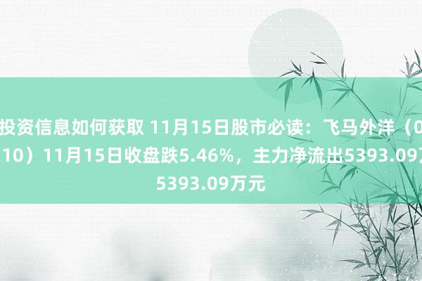 投资信息如何获取 11月15日股市必读：飞马外洋（00221