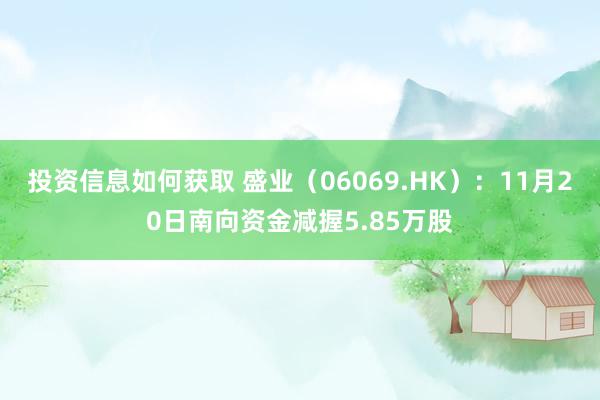 投资信息如何获取 盛业（06069.HK）：11月20日南向