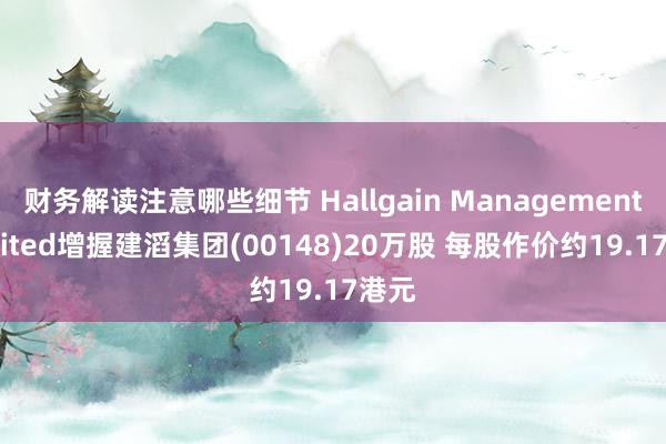 财务解读注意哪些细节 Hallgain Management