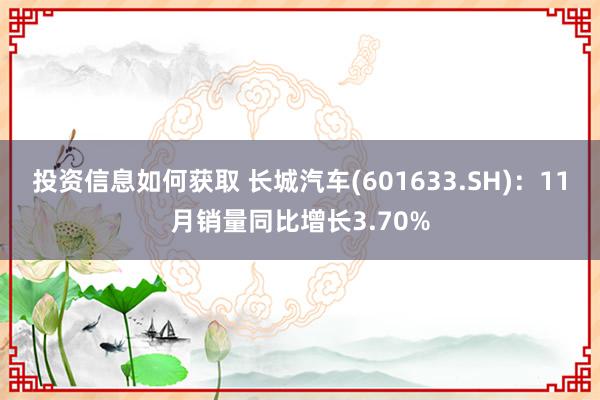 投资信息如何获取 长城汽车(601633.SH)：11月销量