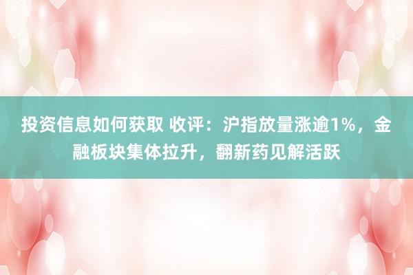 投资信息如何获取 收评：沪指放量涨逾1%，金融板块集体拉升，