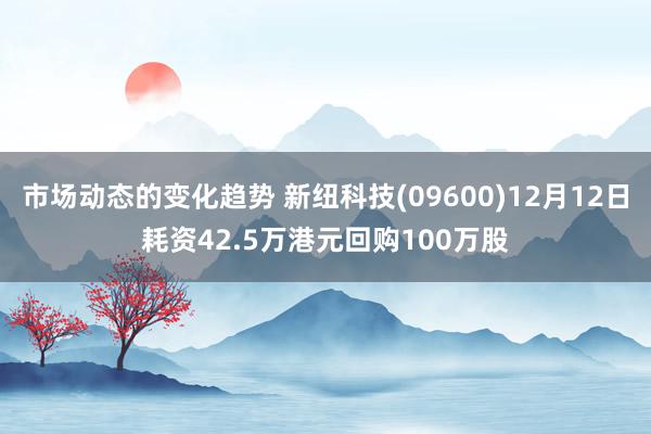 市场动态的变化趋势 新纽科技(09600)12月12日耗资4