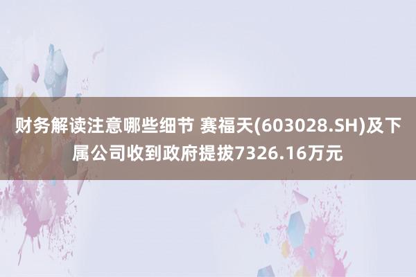 财务解读注意哪些细节 赛福天(603028.SH)及下属公司收到政府提拔7326.16万元