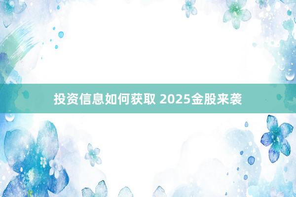 投资信息如何获取 2025金股来袭