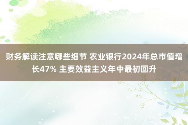 财务解读注意哪些细节 农业银行2024年总市值增长47% 主要效益主义年中最初回升