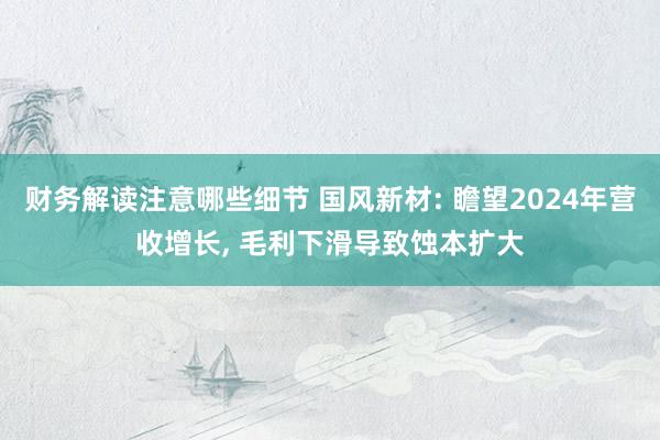 财务解读注意哪些细节 国风新材: 瞻望2024年营收增长, 