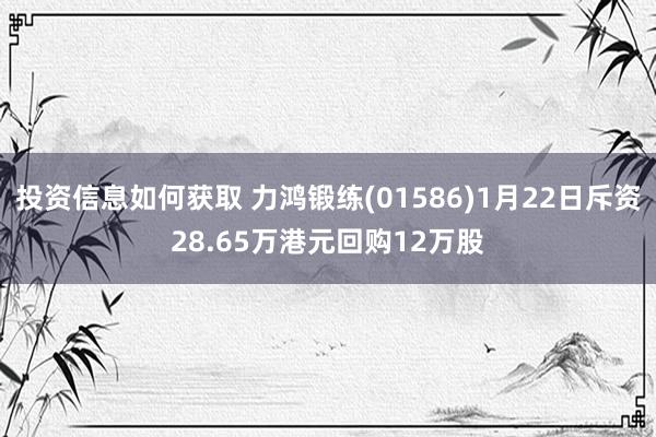 投资信息如何获取 力鸿锻练(01586)1月22日斥资28.65万港元回购12万股