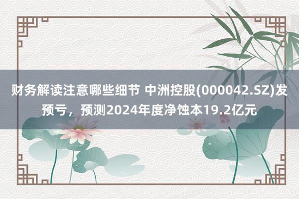 财务解读注意哪些细节 中洲控股(000042.SZ)发预亏，预测2024年度净蚀本19.2亿元