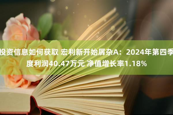 投资信息如何获取 宏利新开始羼杂A：2024年第四季度利润4