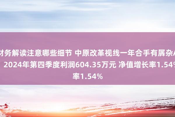 财务解读注意哪些细节 中原改革视线一年合手有羼杂A：2024年第四季度利润604.35万元 净值增长率1.54%