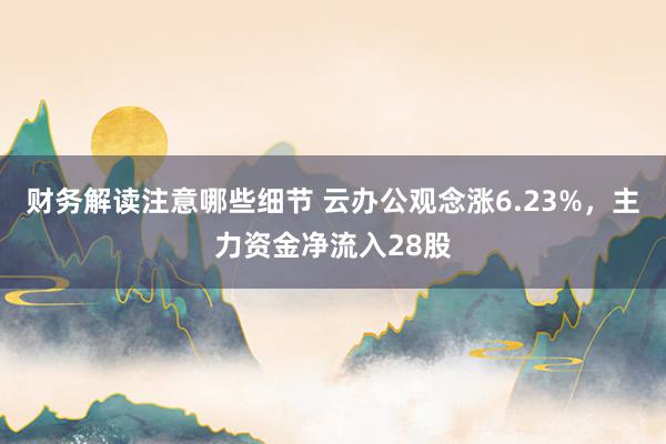 财务解读注意哪些细节 云办公观念涨6.23%，主力资金净流入28股