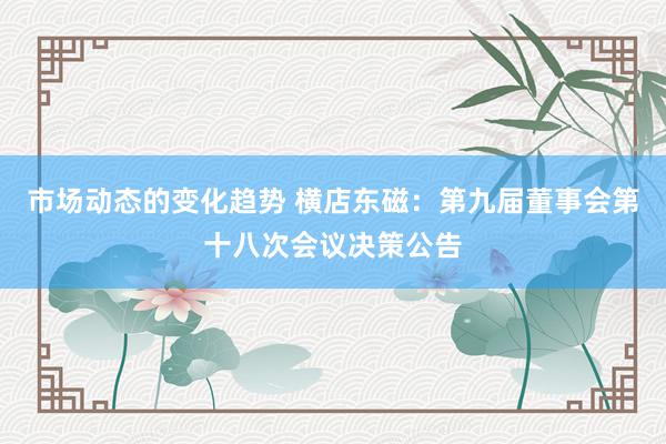 市场动态的变化趋势 横店东磁：第九届董事会第十八次会议决策公告