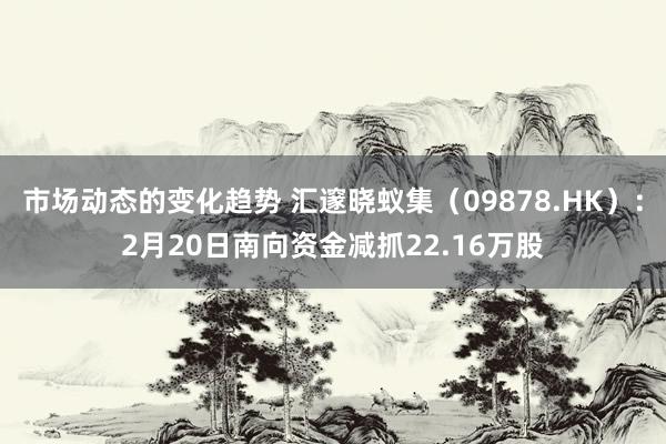 市场动态的变化趋势 汇邃晓蚁集（09878.HK）：2月20日南向资金减抓22.16万股