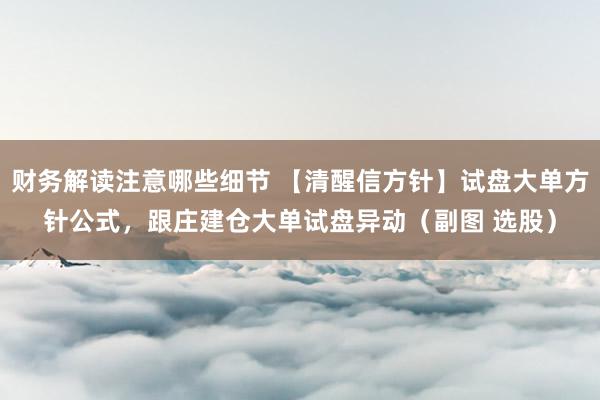 财务解读注意哪些细节 【清醒信方针】试盘大单方针公式，跟庄建仓大单试盘异动（副图 选股）