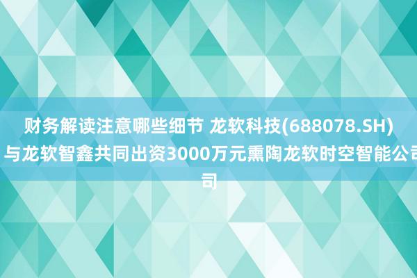 财务解读注意哪些细节 龙软科技(688078.SH): 与龙