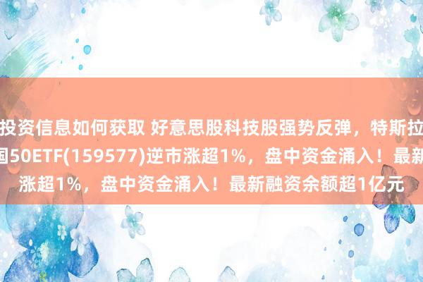 投资信息如何获取 好意思股科技股强势反弹，特斯拉涨超7%，好意思国50ETF(159577)逆市涨超1%，盘中资金涌入！最新融资余额超1亿元