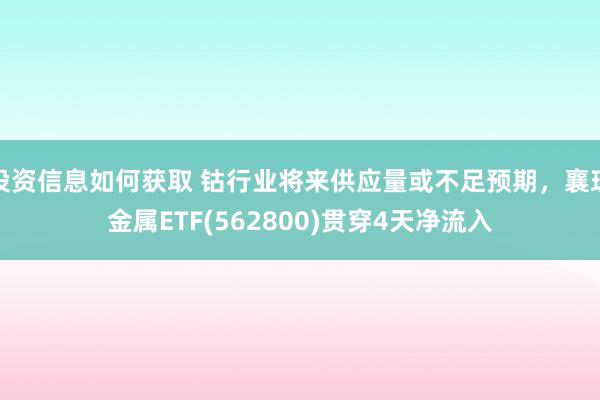 投资信息如何获取 钴行业将来供应量或不足预期，襄理金属ETF(562800)贯穿4天净流入